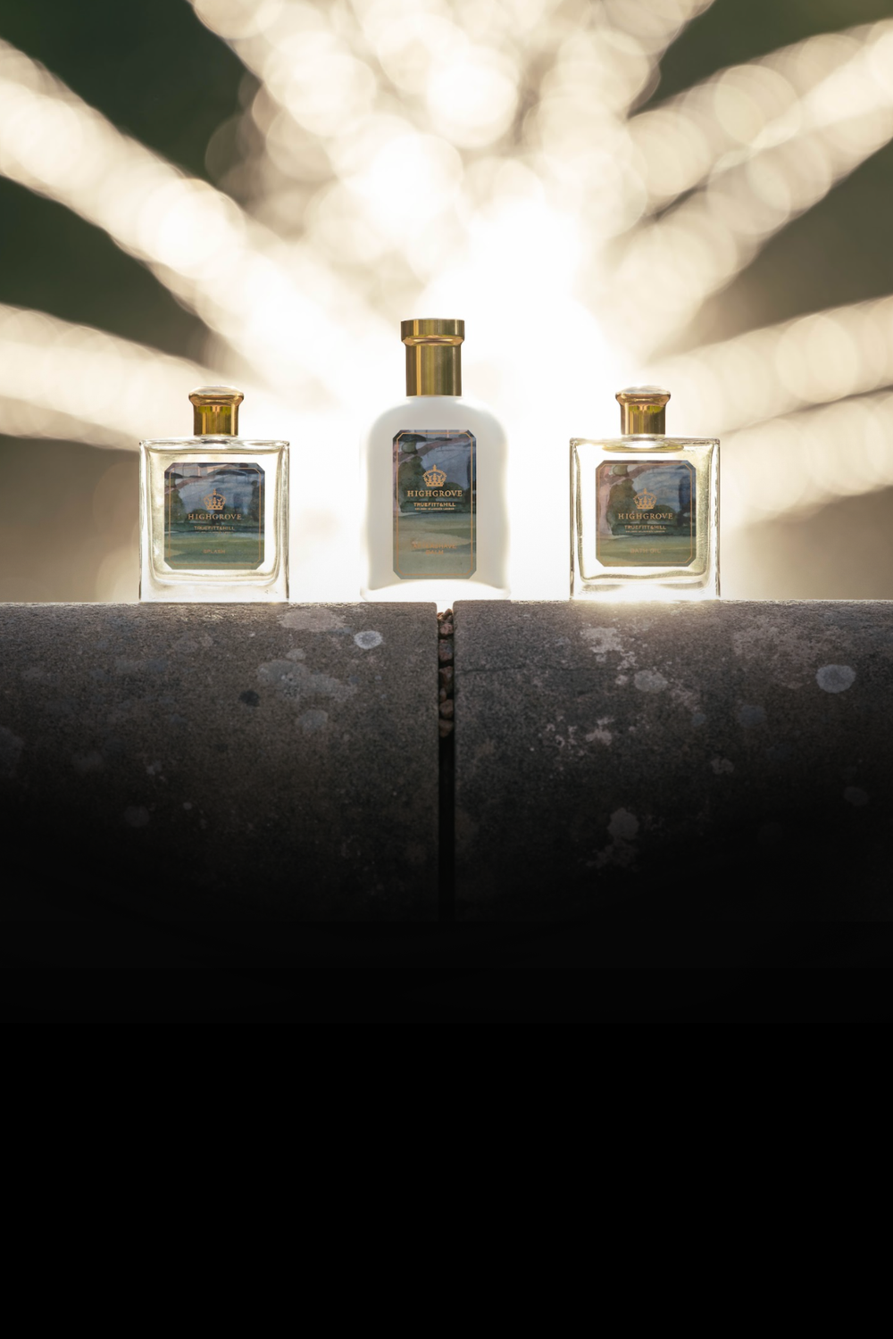 Mobile slideshow image