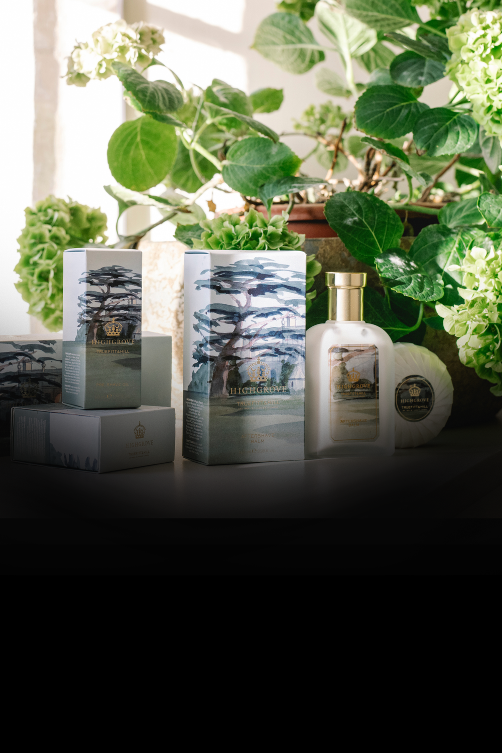 Mobile slideshow image