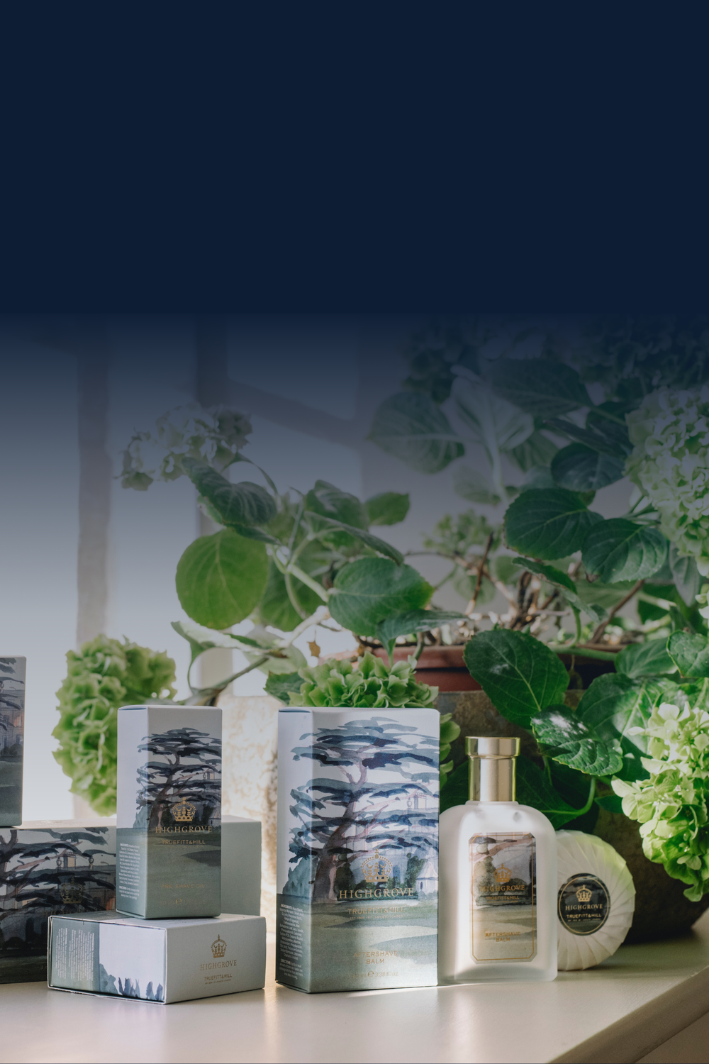 Mobile slideshow image