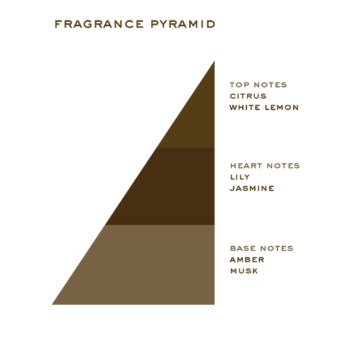 1805 Cologne fragrance pyramid