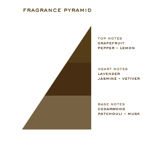 Apsley Cologne fragrance pyramid