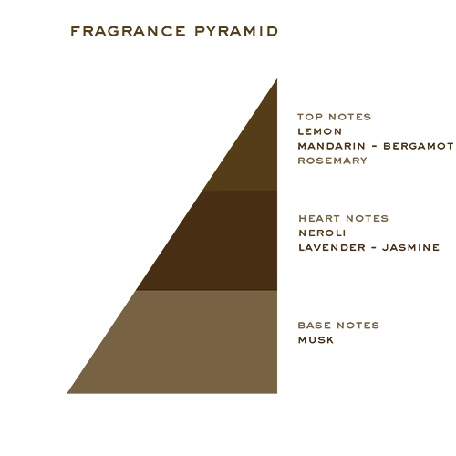 Mayfair Cologne 50ml fragrance pyramid